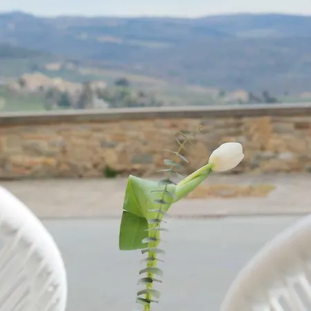 La Casina Di Anita